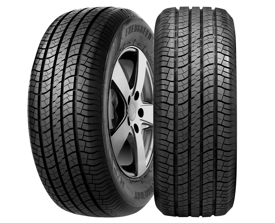 2156516 EVERGREEN ES83 102H